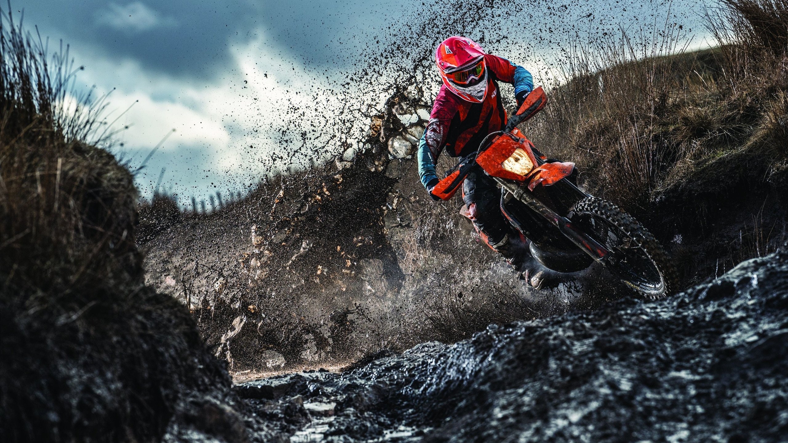 NBA全明星阵容公布